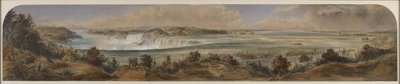 Extensive View of Niagara Falls from Above by Washington F. Friend